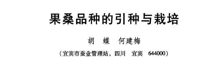 桑树种植技术要点