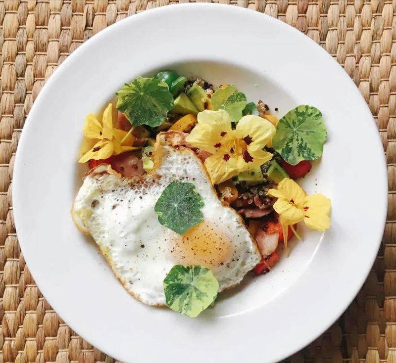 旱金莲种子种植方法