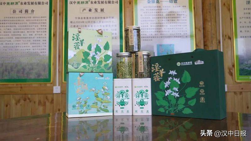 室内天麻的种植技术