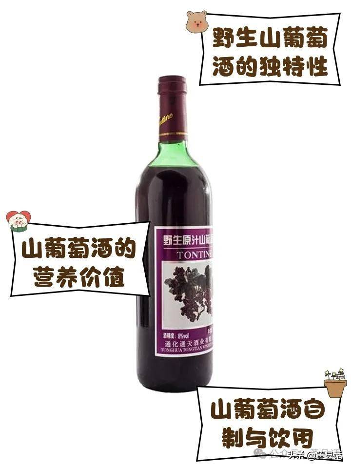 Wild grape cultivation techniques
