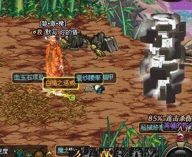 dnf宠物金毛球多少钱