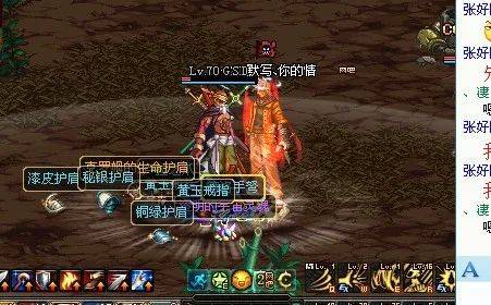 dnf宠物金毛球多少钱