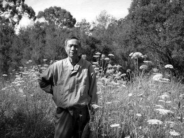 经济学原理杨小凯