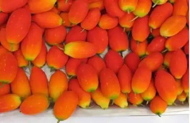 中国最具种植前景水果