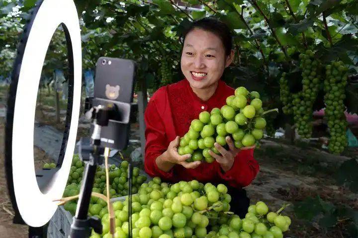 中国最具种植前景水果