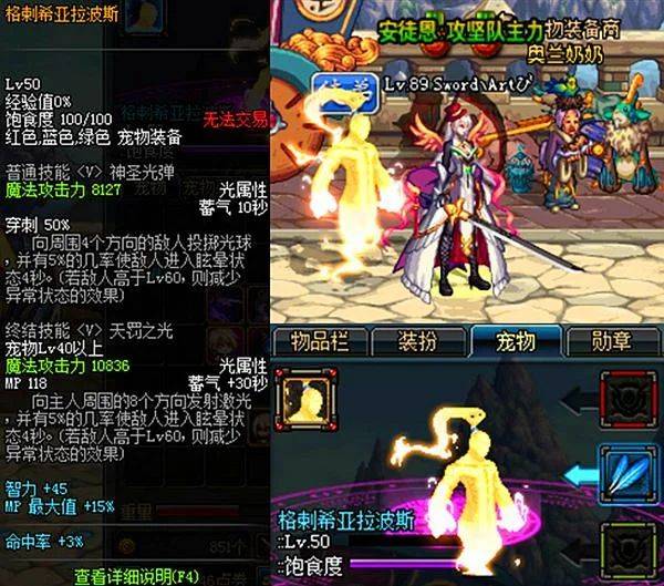 dnf宠物金毛球多少钱