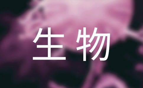 现代生物进化理论 必修二