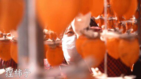 中国最具种植前景水果