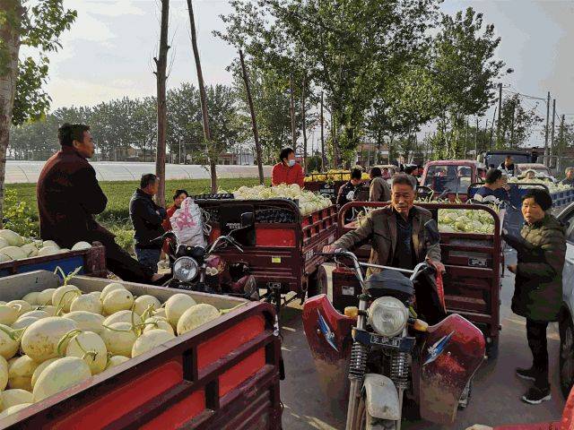 中国最具种植前景水果