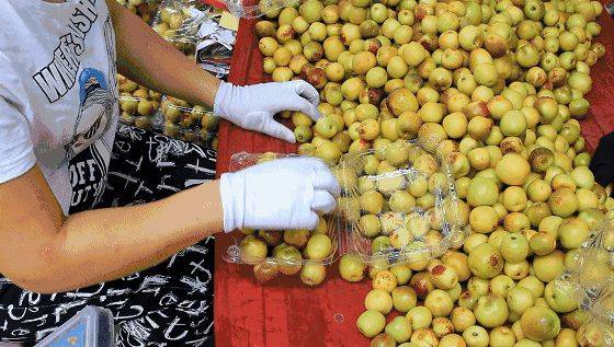 中国最具种植前景水果