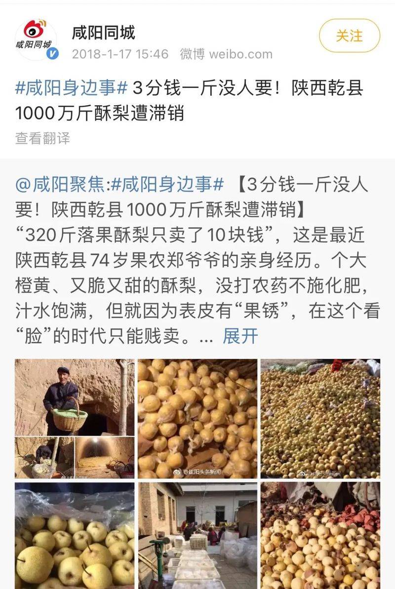 中国最具种植前景水果