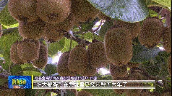 中国最具种植前景水果