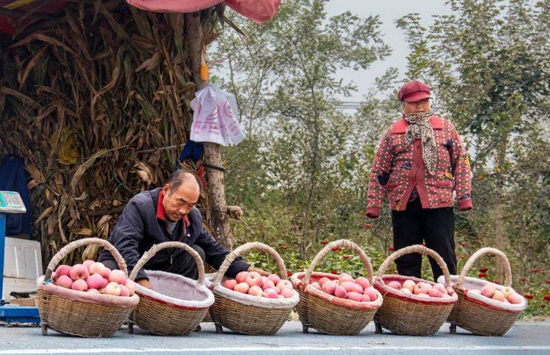 中国最具种植前景水果