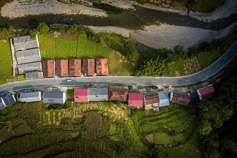 中国最具种植前景水果