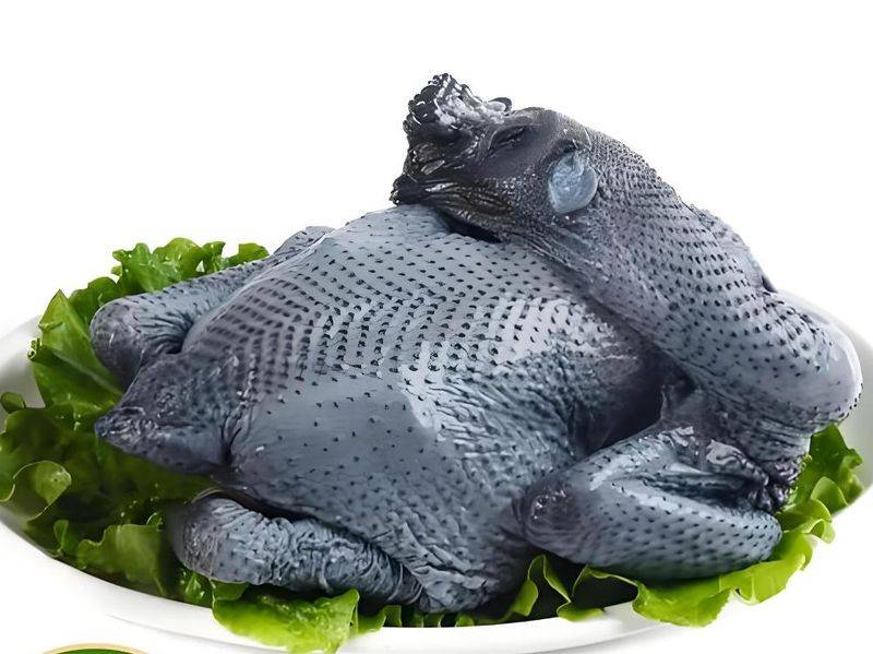 白羽乌鸡养殖成本与利润