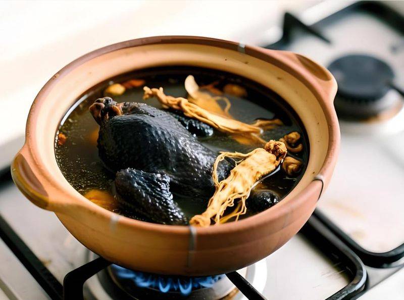 白羽乌鸡养殖成本与利润