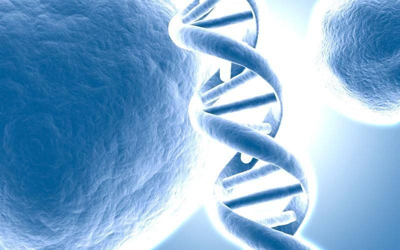 野生葡萄种植技术