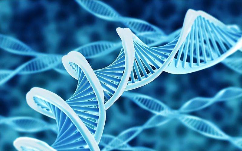 野生葡萄种植技术