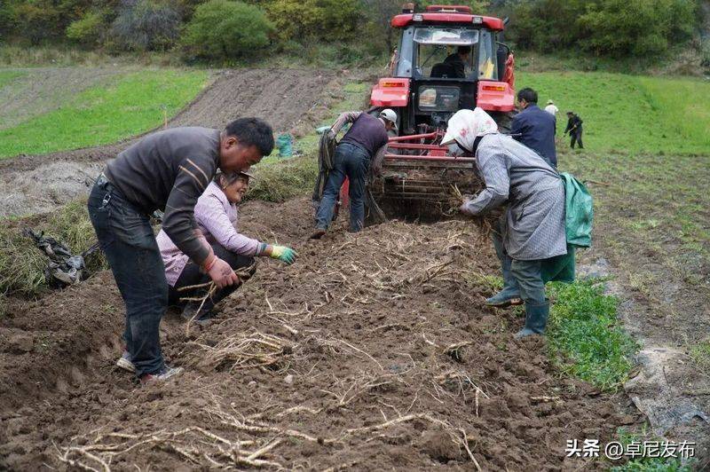 Turkish party participation in planting techniques