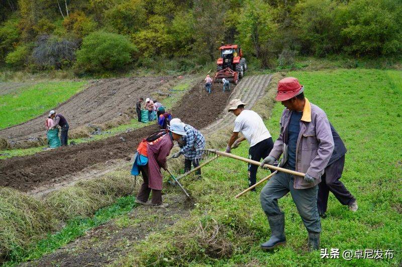Turkish party participation in planting techniques
