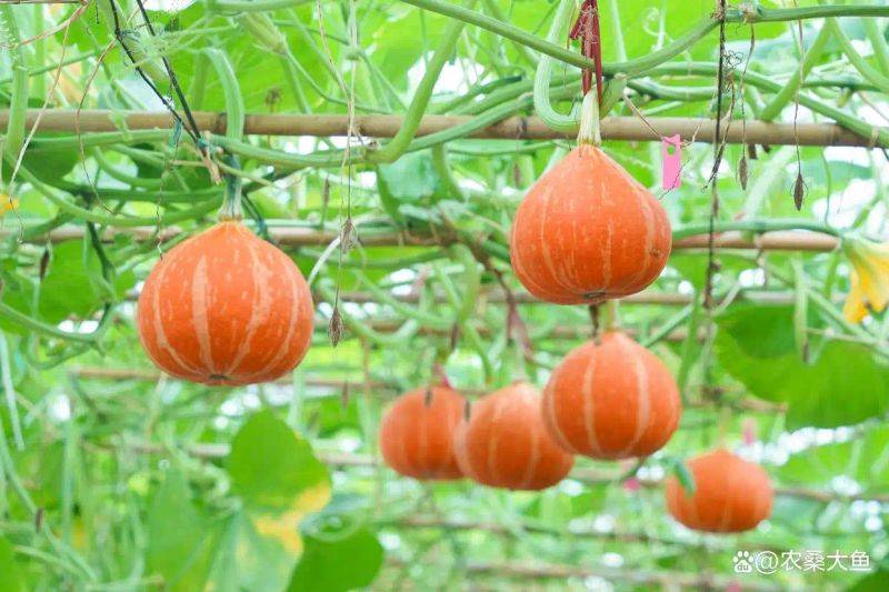 Smart farming techniques