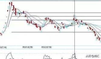 专业投机原理期货篇 下载
