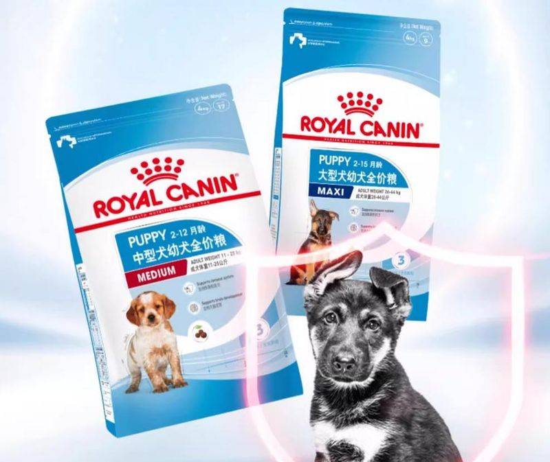 价格便宜又好的狗粮