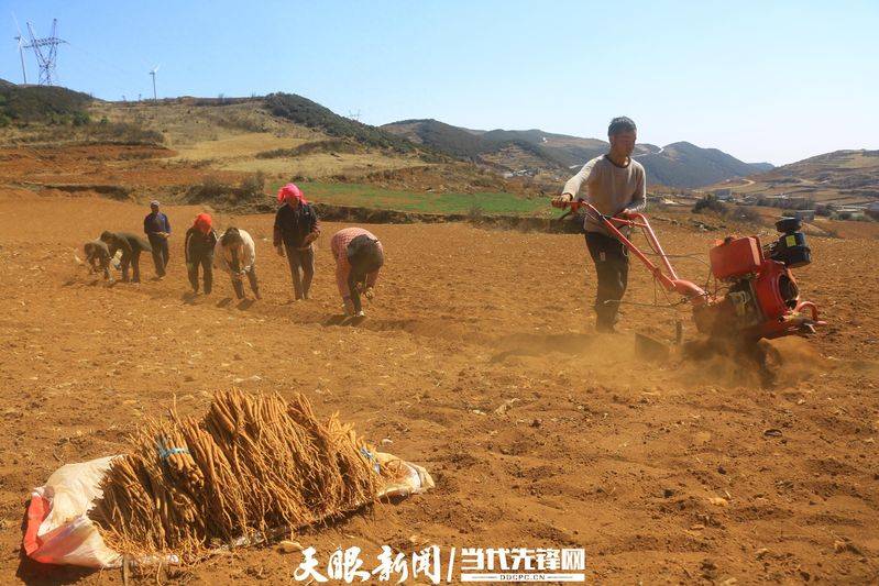 Turkish party participation in planting techniques