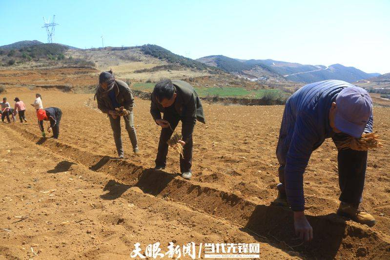 Turkish party participation in planting techniques