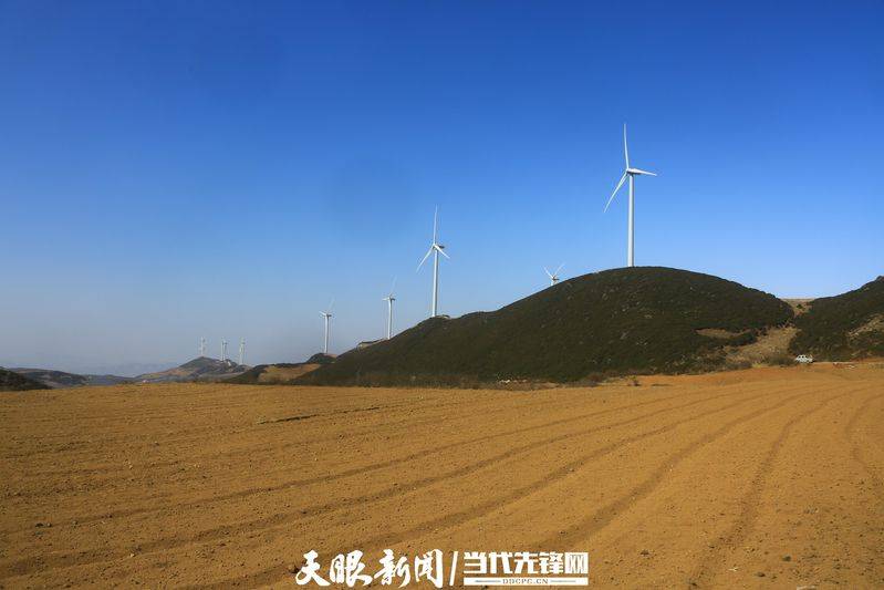 Turkish party participation in planting techniques