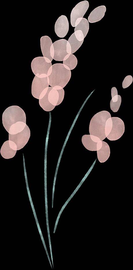 知识产权 著作权