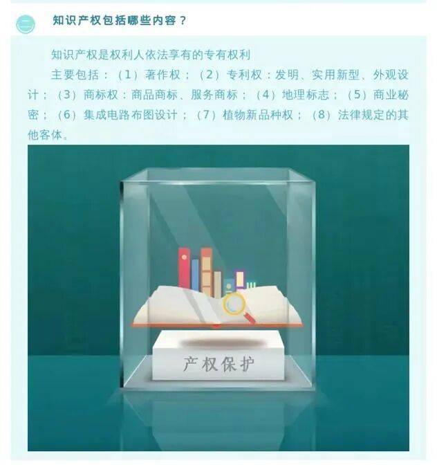 知识产权 著作权