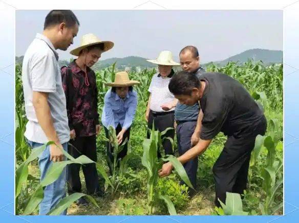 Smart farming techniques