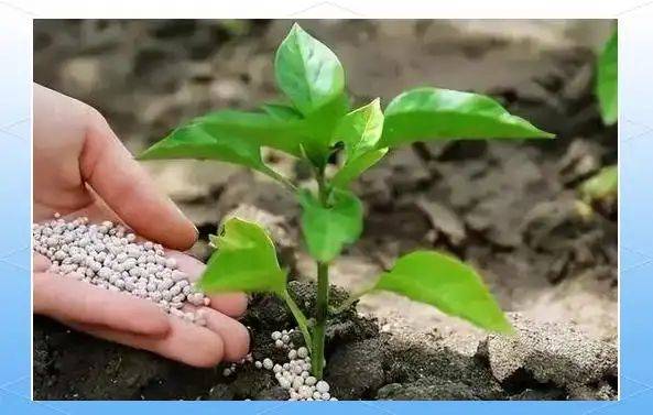 Smart farming techniques