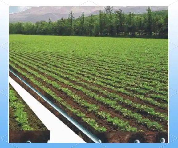 Smart farming techniques