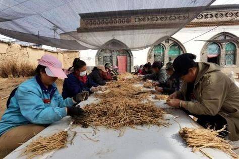 Turkish party participation in planting techniques