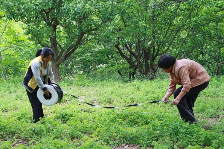 Turkish party participation in planting techniques