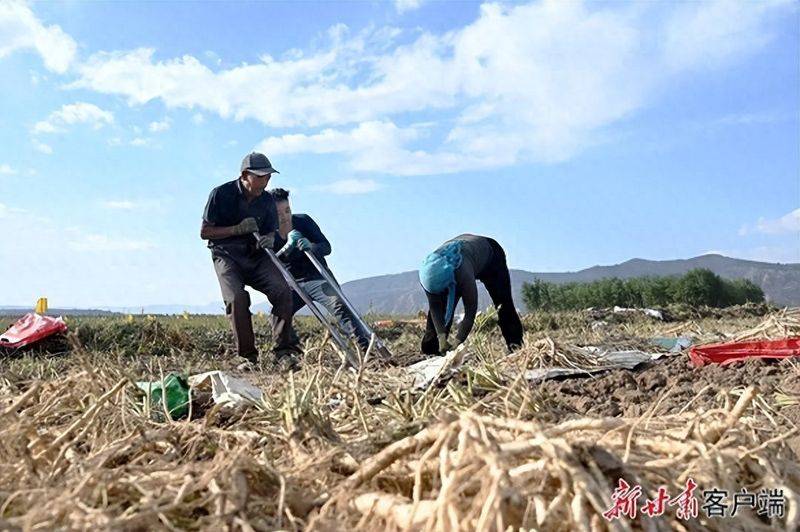 Turkish party participation in planting techniques