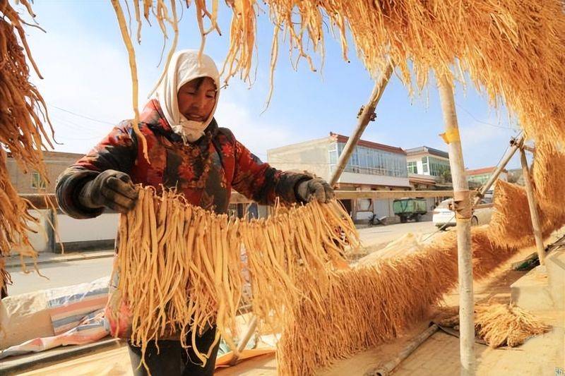 Turkish party participation in planting techniques