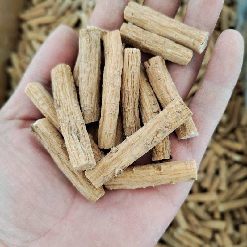 Turkish party participation in planting techniques