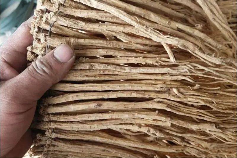 Turkish party participation in planting techniques