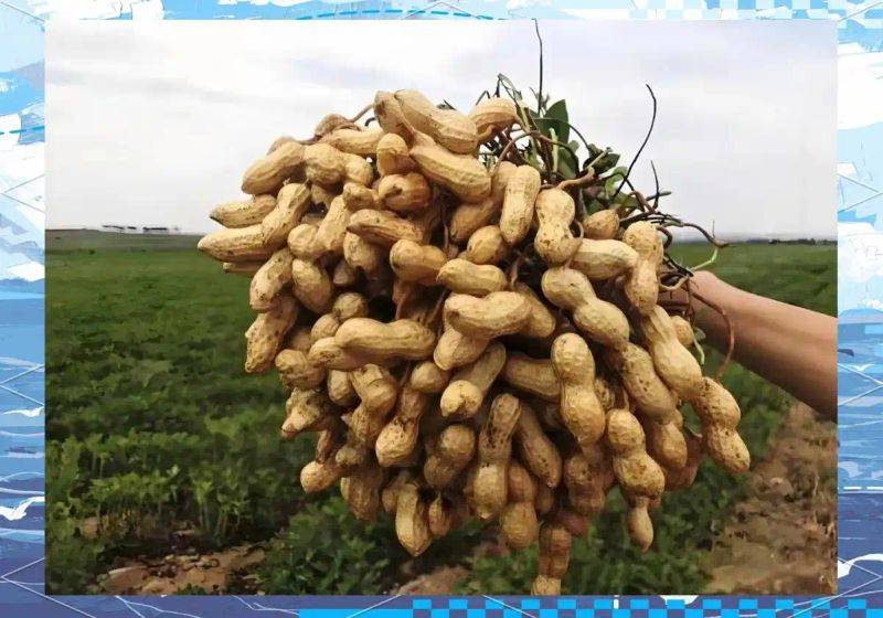 Smart farming techniques