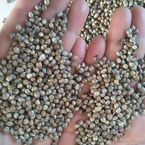 Smart farming techniques