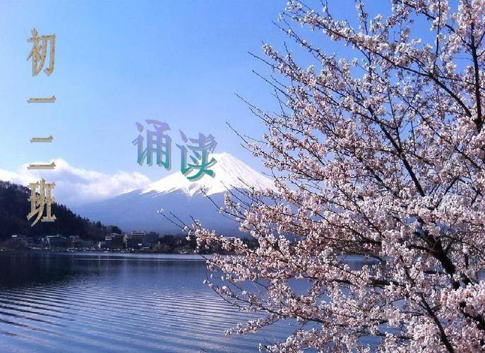 四大名著知识竞赛大全