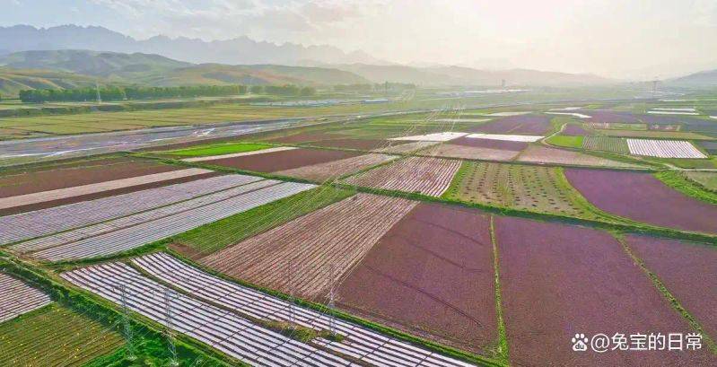 Smart farming techniques