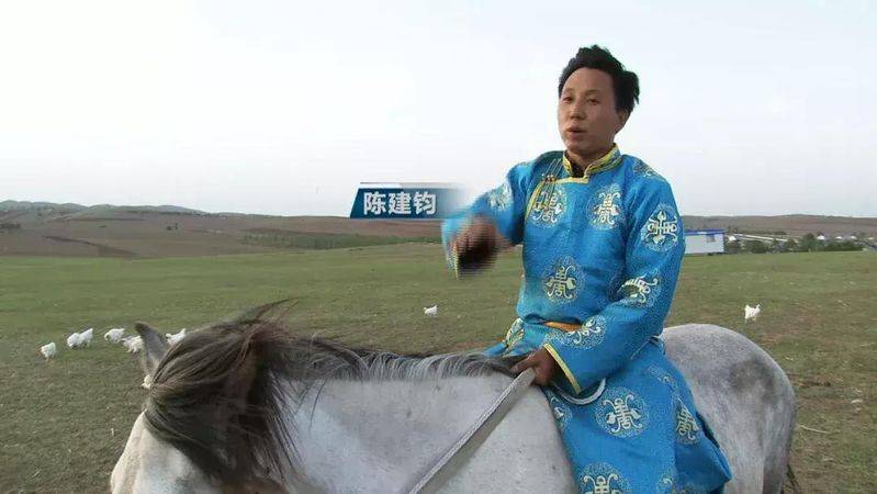 白羽乌鸡养殖成本与利润