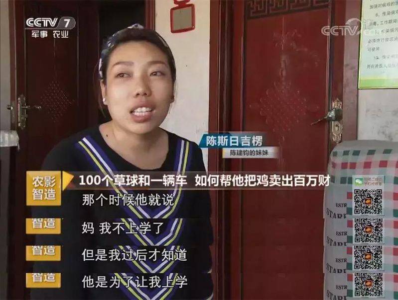 白羽乌鸡养殖成本与利润