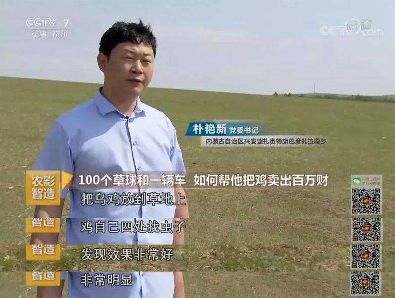 白羽乌鸡养殖成本与利润