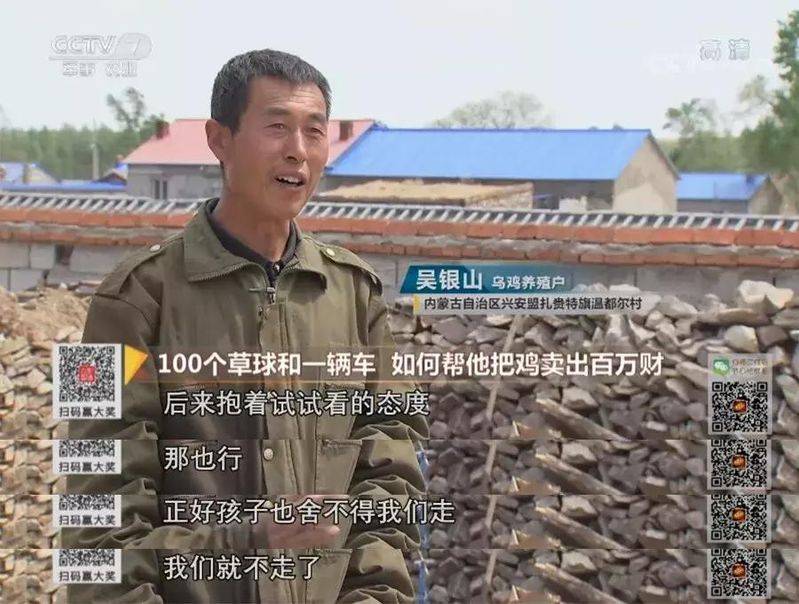 白羽乌鸡养殖成本与利润