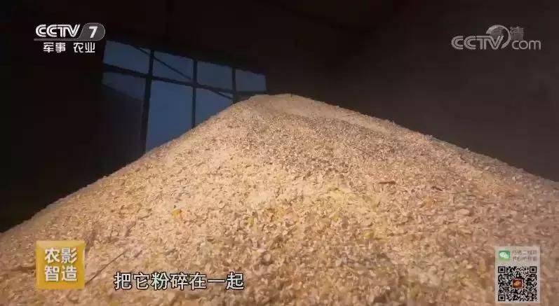 白羽乌鸡养殖成本与利润